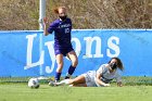 WSoc vs Sronehill  Women’s Soccer vs Stonehill College. : Wheaton, WSoccer, WSoc, Women’s Soccer